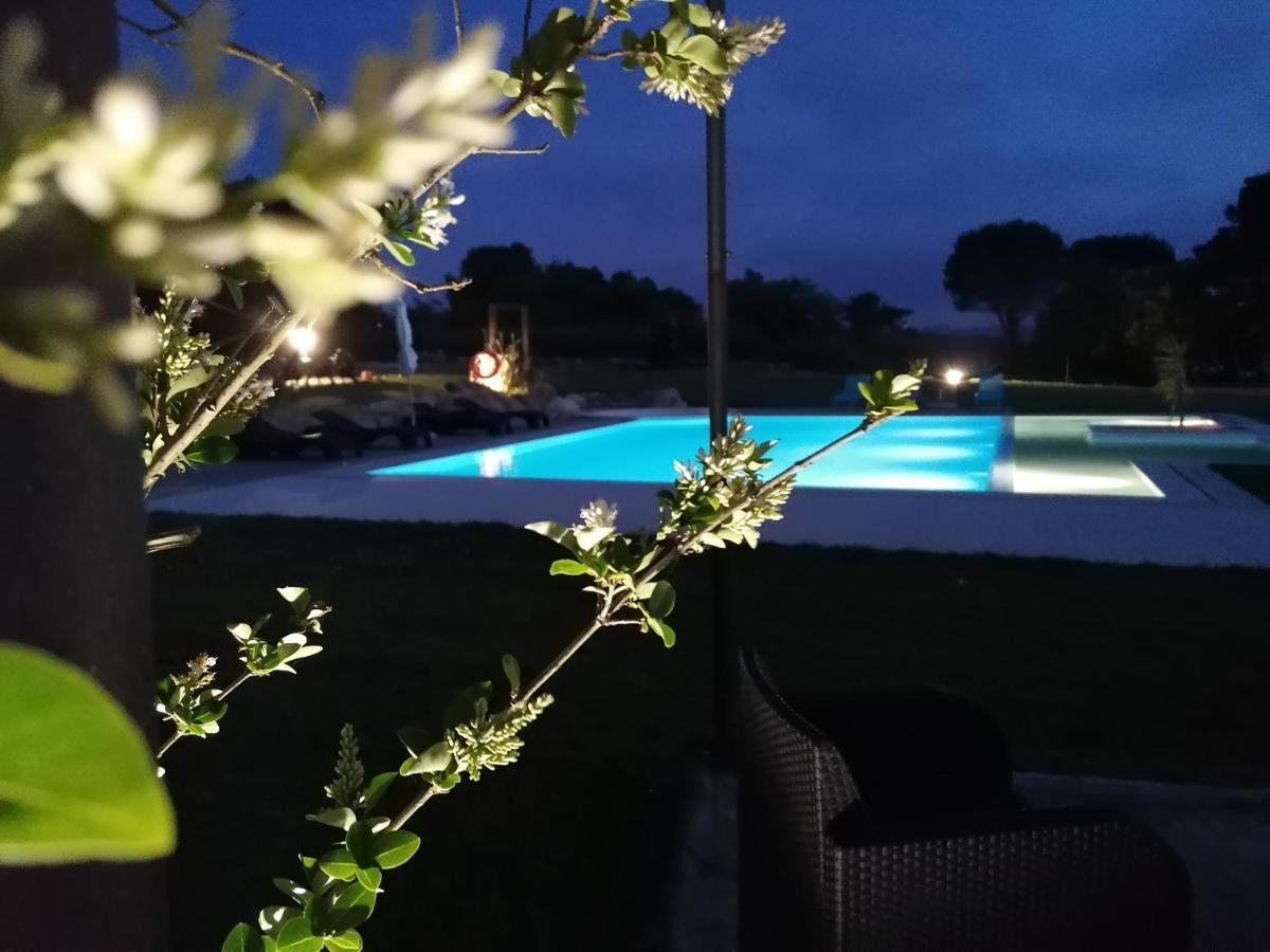 Perola D'obidos T3